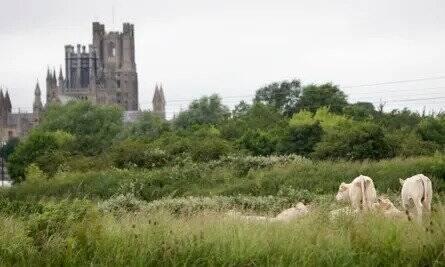 Bullrush Walk - Riverside to Finish image