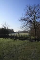 Bullrush Walk - Springhead Lane image