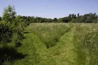 Country Park Trails - The Creswells image